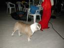 DSCN1583.JPG