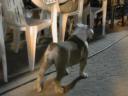 DSCN1584.JPG