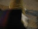 DSCN1587.JPG