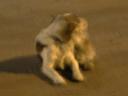 DSCN3303.JPG