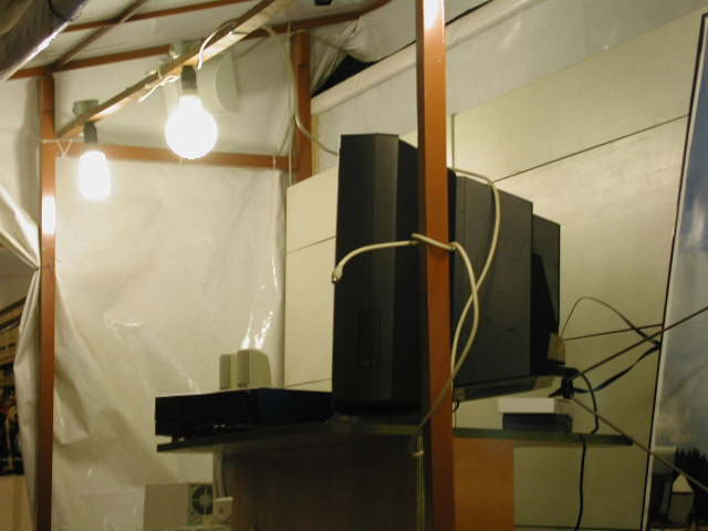 DSCN2584_f.jpg