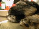 DSCN4381_f.jpg