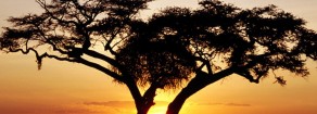 La riconquista dell’Africa