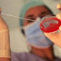Legge 40 e diritti umani: Ue boccia governo Monti
