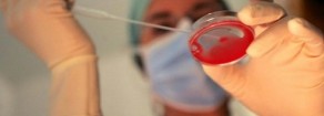 Legge 40 e diritti umani: Ue boccia governo Monti