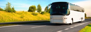 L’autobus fantasma del Sig. Grillo