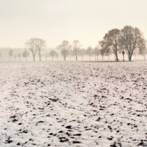 Il tempo delle ambiguità è finito