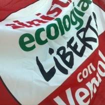 C’è un futuro per Sel?