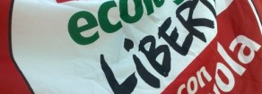 C’è un futuro per Sel?