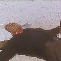 Da oggi si può firmare per la legge anti-tortura