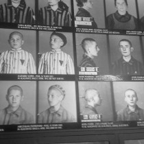 La frase della prof su Auschwitz è figlia del pregiudizio