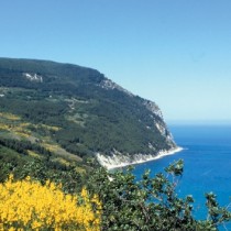 No alla tortura, perché non accada più