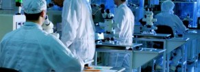Magneti Marelli, rabbia infinita