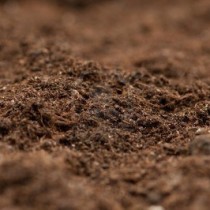 L’unico antidoto è difendere il suolo