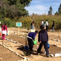 Bolivia – Cochabamba: il ritorno alla Terra inizia dalla scuola