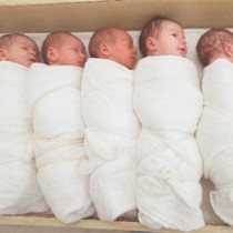 Procreazione assistita, tutti gli ostacoli per le coppie che ricorrono alla provetta