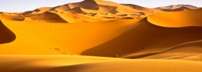 Il deserto dei delusi