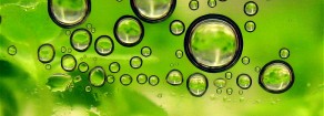 L’economia è un biosistema