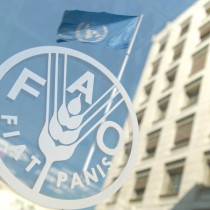 Il Venezuela premiato alla FAO per la lotta alla fame