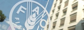 Il Venezuela premiato alla FAO per la lotta alla fame