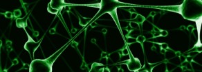 Il virus del disincanto