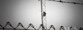 Muos: effetti nocivi a breve termine