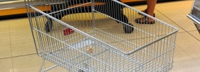 Sboom economico. Coop: E’ un’Italia che non mangia più