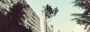 Quel ‘tesoretto’ delle case popolari