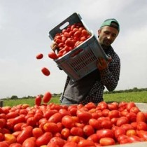 Gli immigrati tornano a casa, noi siamo più poveri