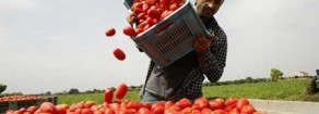 Gli immigrati tornano a casa, noi siamo più poveri