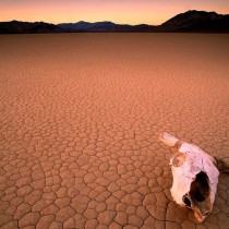 Sud a rischio povertà e desertificazione industriale. Disoccupazione reale al 28%