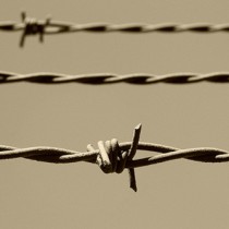 Shoah, Ferrero: Ricordiamo le vittime contro ogni rigurgito nazifascista
