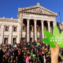 Cannabis, Prc: via l.Fini-Giovanardi, stop proibizionismo, l’Italia faccia come l’Uruguay!