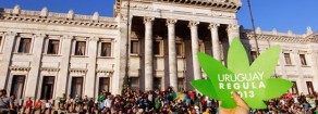 Cannabis, Prc: via l.Fini-Giovanardi, stop proibizionismo, l’Italia faccia come l’Uruguay!