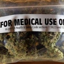 Cannabis, Acerbo: «Legalizzazione è buon senso. Bene Cappato, a Gasparri un po’ di giardinaggio non farebbe che bene…»