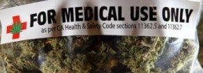 Cannabis, Acerbo: «Legalizzazione è buon senso. Bene Cappato, a Gasparri un po’ di giardinaggio non farebbe che bene…»