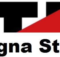 15 maggio, Stop TTIP lancia un appello a candidati e parlamentari