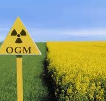 Ogm, Ferrero: accordo europeo da respingere perchè prepara liberalizzazione completa Ogm