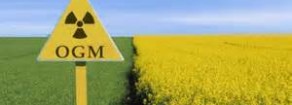 Ogm, Ferrero: accordo europeo da respingere perchè prepara liberalizzazione completa Ogm