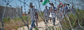 Basta con struzzi e coccodrilli. Da Gaza al mondo, parla un gruppo di cooperanti italiani in Palestina