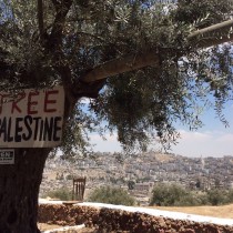 Diario dalla Palestina di Eleonora Forenza – 2: Palestinesi trattati come subumani
