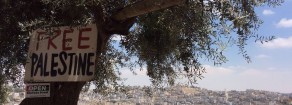 Diario dalla Palestina di Eleonora Forenza – 2: Palestinesi trattati come subumani