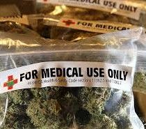 Cannabis, Acerbo e Ferrero: Ottima notizia produzione cannabis per fini terapeutici: era ora! Basta proibizionismo, è norma di civiltà
