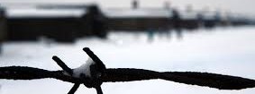Giornata della memoria, celebriamola ricordando