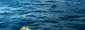 Non c’è pace nel cimitero Mediterraneo, intervenga l’Onu