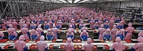 Morire per un iPhone. La Apple, la Fox­conn e la lotta degli ope­rai cinesi