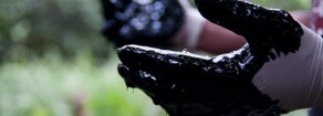 A proposito di delitti ambientali nel codice penale