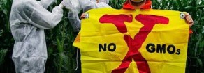 No Ogm, Forenza: «Bene voto Parlamento Ue, tutela dei cittadini in primis, l’Europa non può farsi dettare legge dalle multinazionali!»