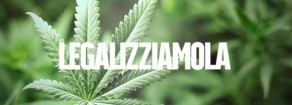 Cannabis, Ferrero: «Occasione persa da Corte. Coltivazione per uso personale non solo va legalizzata ma è essenziale per combattere le mafie e il narcotraffico»