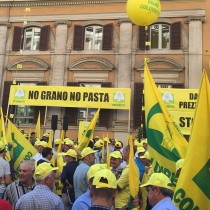 Agricoltori, Ferrero: «Solidarietà agli agricoltori che protestano: la globalizzazione neoliberista distrugge la sovranità alimentare»